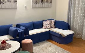 Apartment Piko